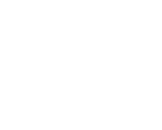 banjoLogoW